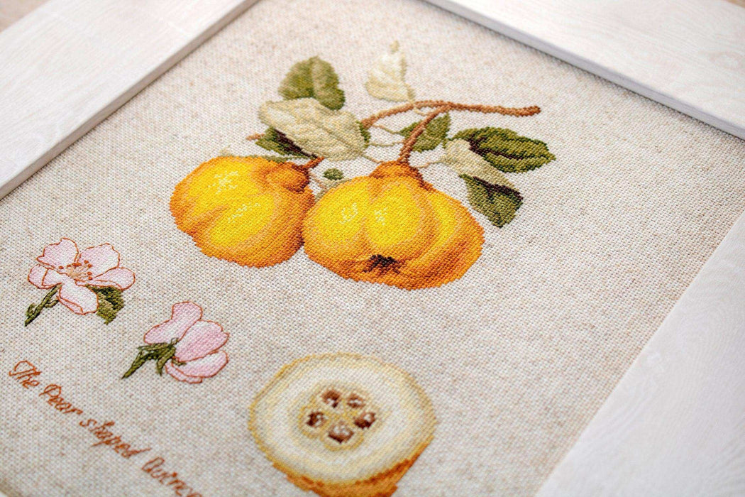 Cross Stitch Kit Luca-S - The Pear shaped Quince - HobbyJobby
