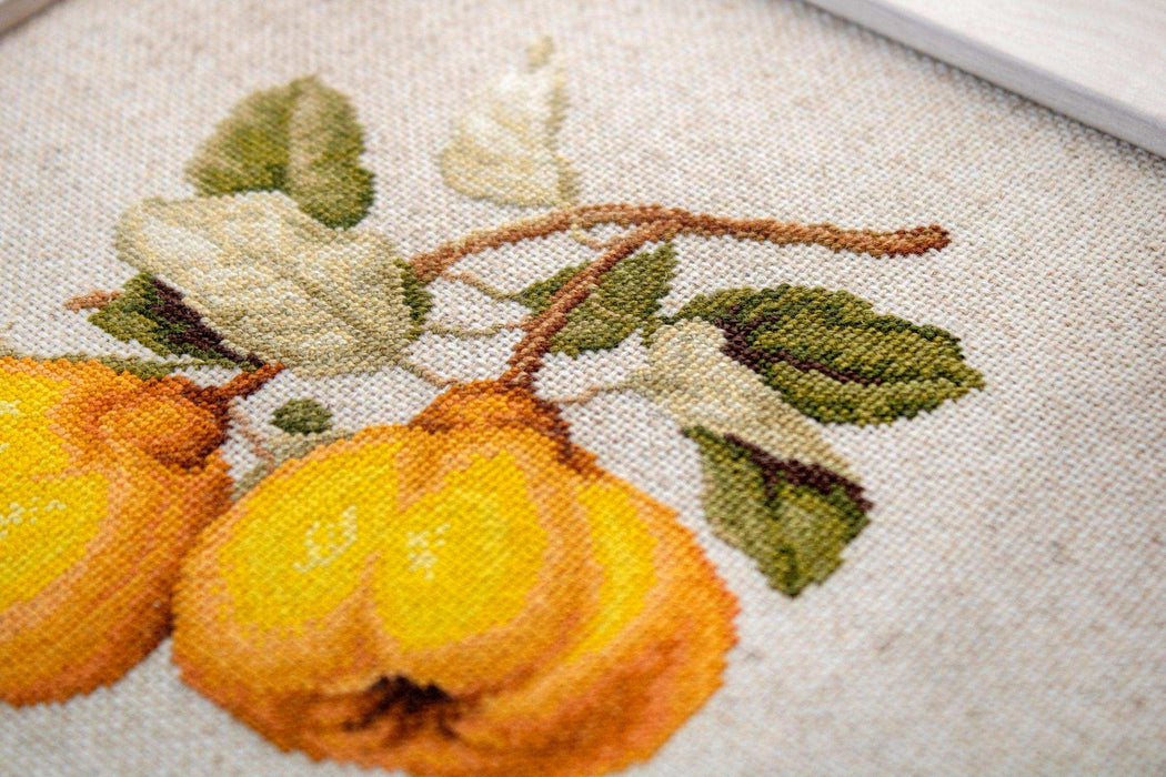 Cross Stitch Kit Luca-S - The Pear shaped Quince - HobbyJobby