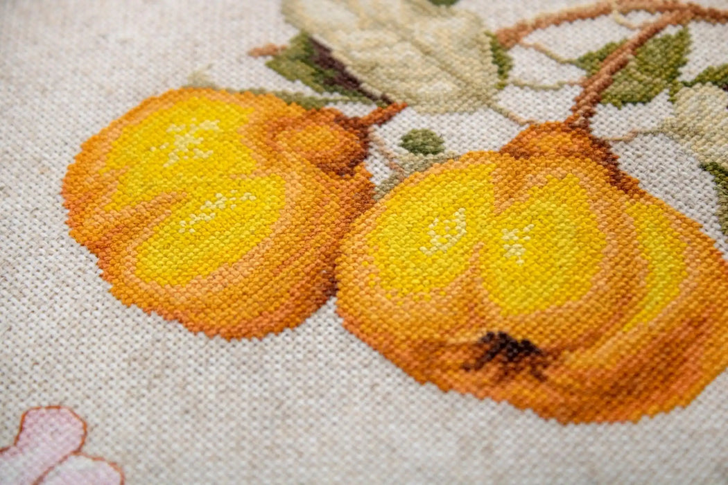 Cross Stitch Kit Luca-S - The Pear shaped Quince - HobbyJobby