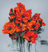 Cross Stitch Kit Luca-S - The Poppies - HobbyJobby