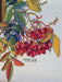 Cross Stitch Kit Merejka - Colorful Rowan, K-151 Cross Stitch Kits - HobbyJobby