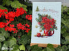 Cross Stitch Kit Merejka - Happy Holiday Cross Stitch Kits - HobbyJobby