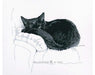 Cross Stitch Kit RTO - "Among black cats" Cross Stitch Kits - HobbyJobby