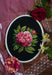 Cross Stitch Kit with Hoop Included Luca-S - BC204 ’’Peter Brand’’ Peony Cross Stitch Kits - HobbyJobby