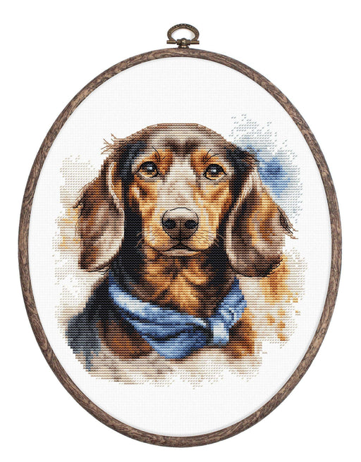 Cross Stitch Kit with Hoop Included Luca-S - The Dachshund, BC222 Cross Stitch Kits - HobbyJobby