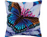 Cushion Kit RTO - Volatic turquoise Cushion Kits - HobbyJobby