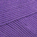 delphinium 113 Scheepjes_Yarn - HobbyJobby