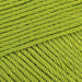 kiwi 205 Scheepjes_Yarn - HobbyJobby