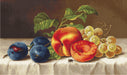 Petit Point Kit Luca-S - Still Life, G592 - HobbyJobby