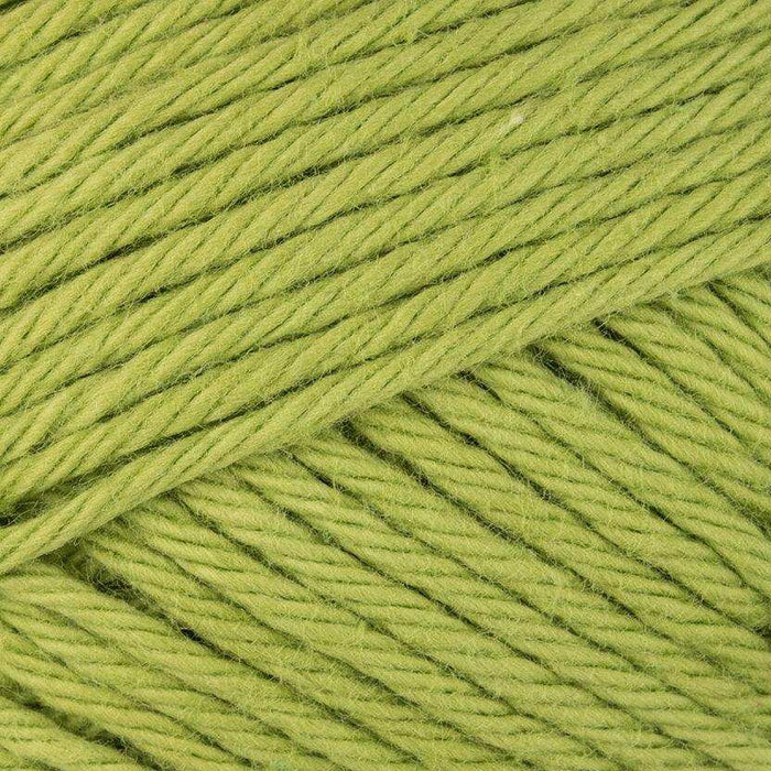 Rico Creative Ricorumi DK Rico DK Yarn - HobbyJobby